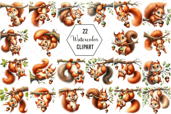 Download Silly Squirrel Watercolor Clipart Bundle - Squirrel Collection